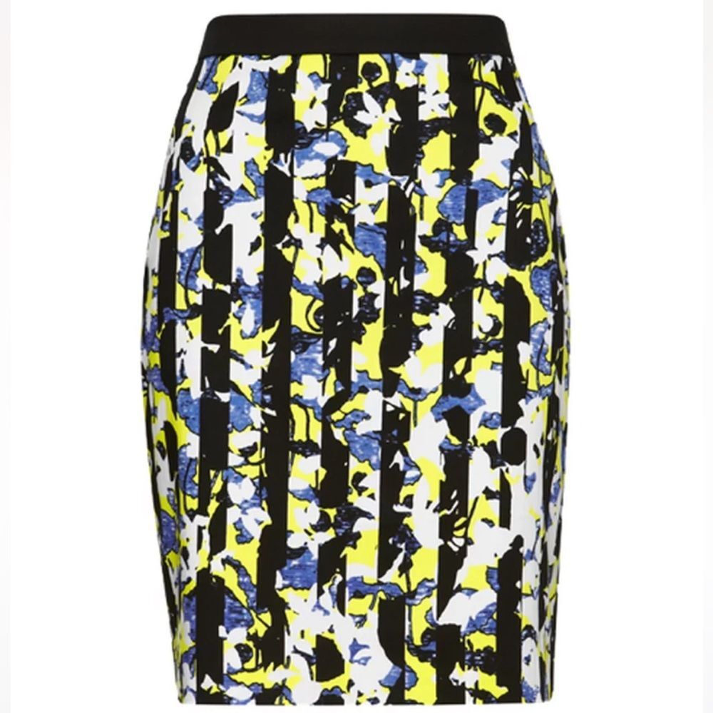 NWT Peter Pilotto Stripe Illusion Pencil Skirt Size 6